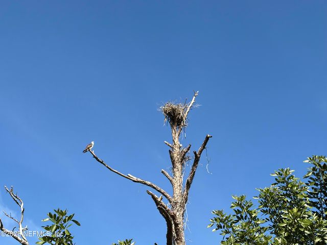 1800 THE GREENS Way 1801, Jacksonville Beach, FL 32250