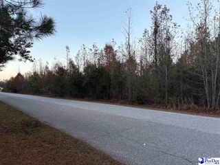 TBD Scottland Road, Dillon, SC 29536