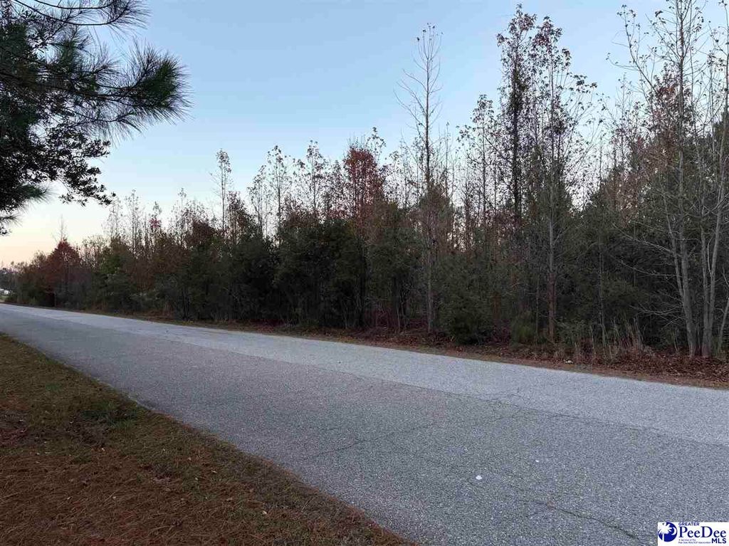 TBD Scottland Road, Dillon, SC 29536