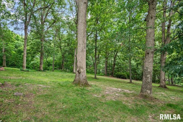 49 WOODLAND Trail, Rochester, IL 62563