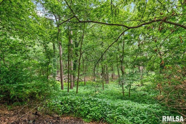 49 WOODLAND Trail, Rochester, IL 62563