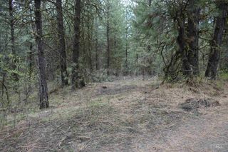 TBD Outlaw Trail, Banks, ID 83602