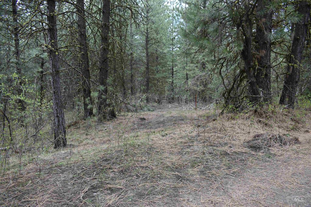 TBD Outlaw Trail, Banks, ID 83602