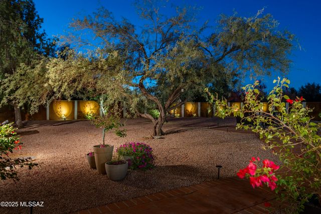 1005 W Emerine Drive, Tucson, AZ 85704