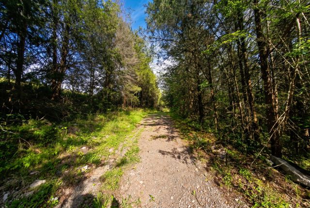 0 Lower Helton Rd, Liberty, TN 37095