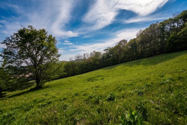 0 Lower Helton Rd, Liberty, TN 37095