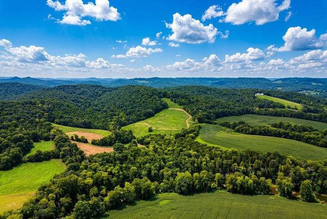 0 Lower Helton Rd, Liberty, TN 37095