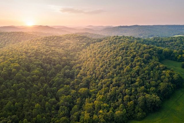 0 Lower Helton Rd, Liberty, TN 37095