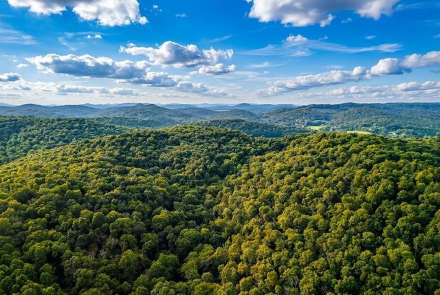 0 Lower Helton Rd, Liberty, TN 37095