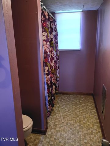 123 Valley View Drive, Rogersville, TN 37857