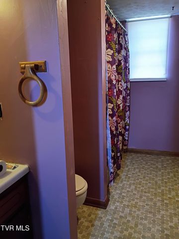 123 Valley View Drive, Rogersville, TN 37857