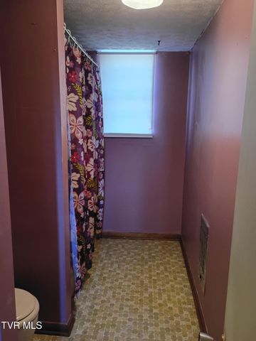 123 Valley View Drive, Rogersville, TN 37857