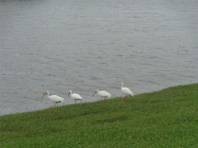 701 SW 141st Ave 412R, Pembroke Pines, FL 33027