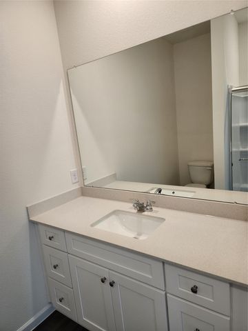 31306 Gayle Prairie Oaks Street, Waller, TX 77484