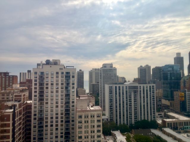 1255 N Sandburg Terrace 2304E, Chicago, IL 60610