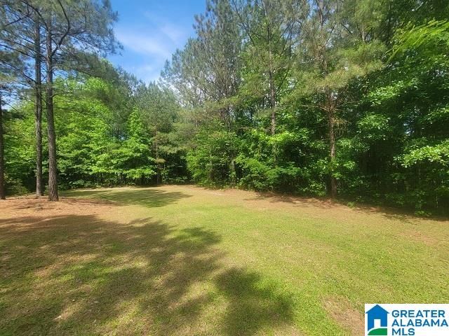 381 GILHAM ROAD, Roanoke, AL 36274