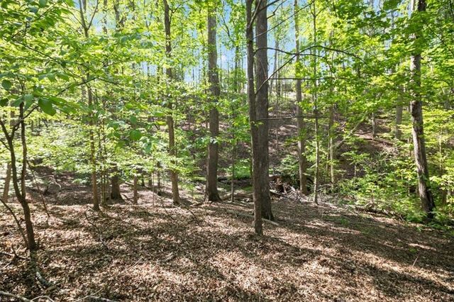 982 Bridge Mill Avenue, Canton, GA 30114