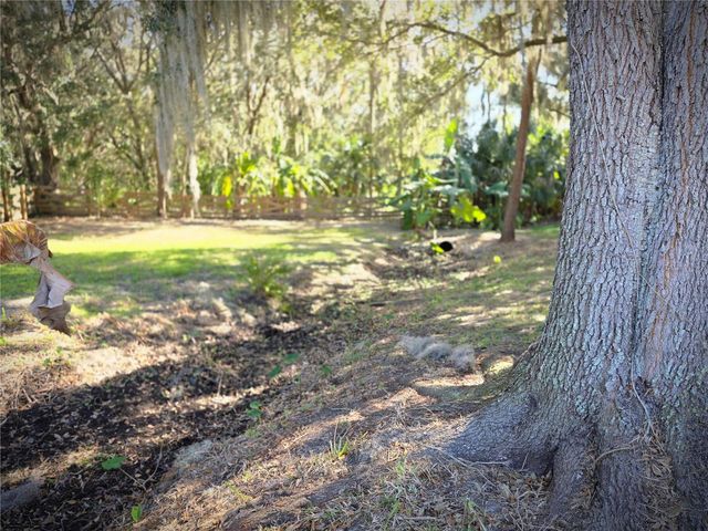 27410 YALAHA CUT OFF ROAD, Yalaha, FL 34797