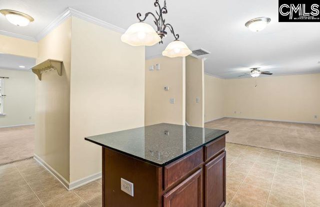 1279 Green Turf Lane, Elgin, SC 29045