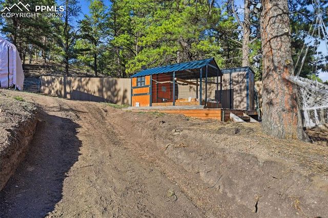 185 Circle Drive, Florissant, CO 80816