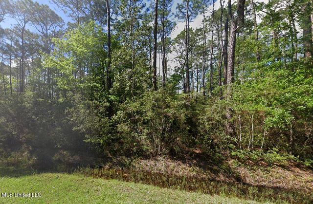 Hackberry Drive, Pass Christian, MS 39571