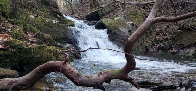 1235 Crown Court, Ranger, GA 30734