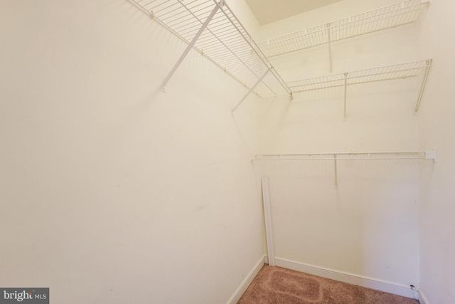 405 DONELSON LOOP, Stafford, VA 22554
