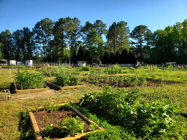 29 Plantation Drive, Manning, SC 29102