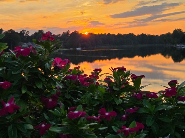 29 Plantation Drive, Manning, SC 29102