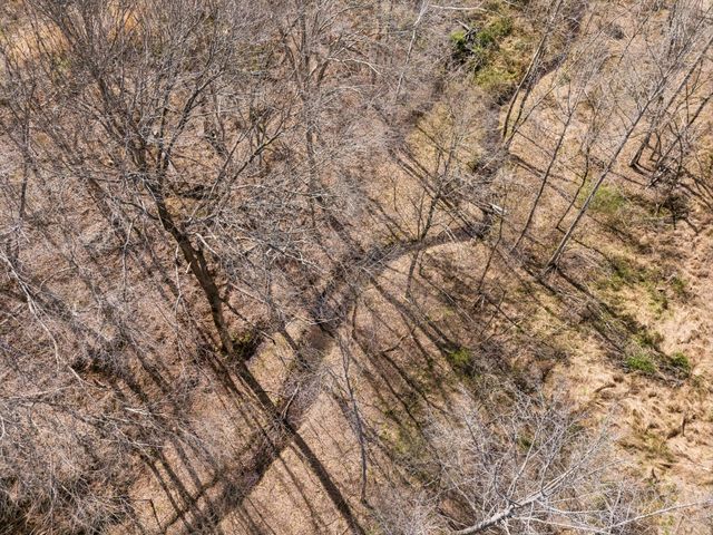 635 Cane Creek Rd, Hohenwald, TN 38462