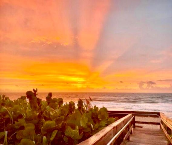 33 S OCEAN Avenue 501, Palm Beach Shores, FL 33404