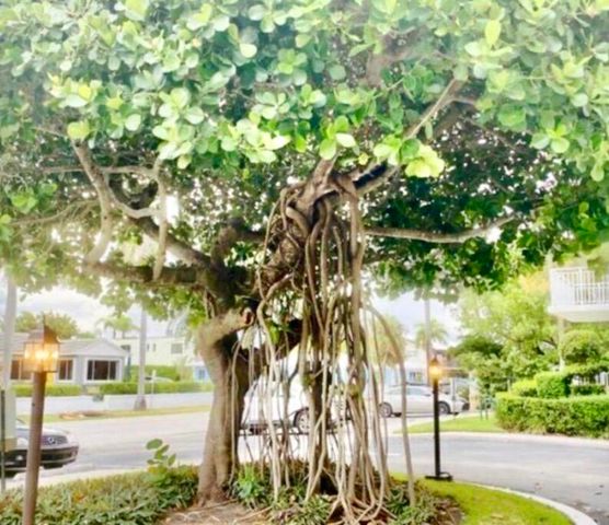 33 S OCEAN Avenue 501, Palm Beach Shores, FL 33404