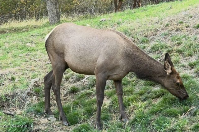 2406 S Silver Beach Rd, Coeur D'alene, ID 83814