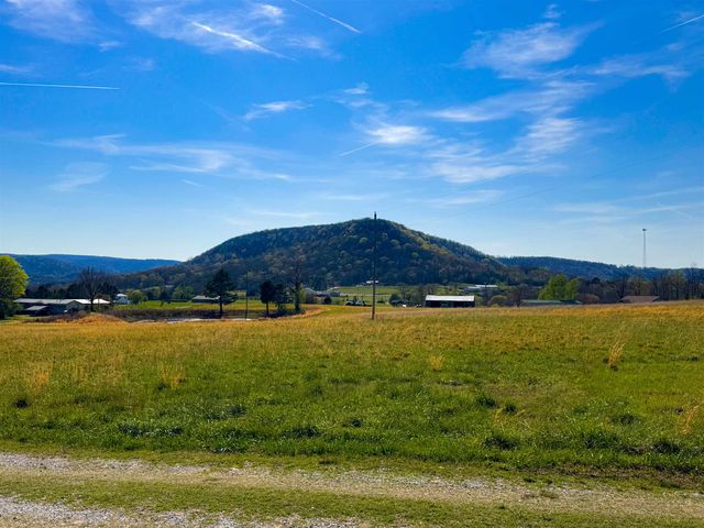 1334 Annette Lane, Mountain View, AR 72560