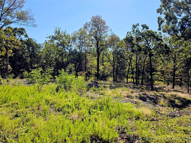 Mason Oaks, Stigler, OK 74462