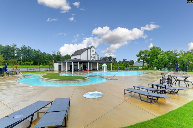 536 Cricket Chirp Lane, Elgin, SC 29045