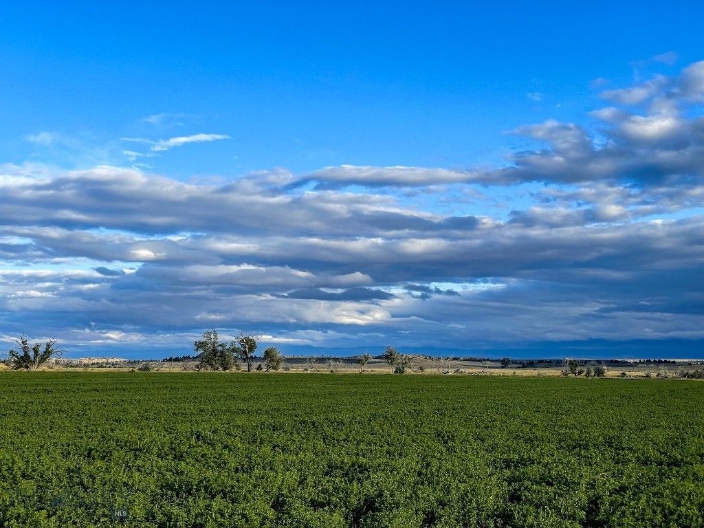 Address unavailable. photo 10