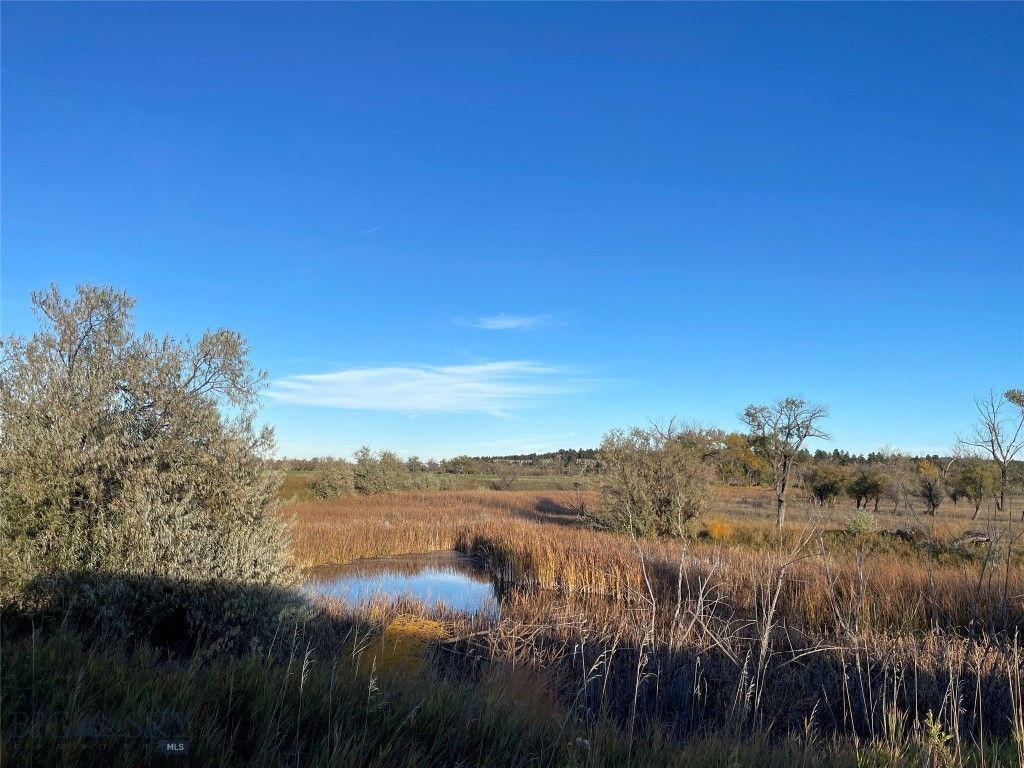 Address unavailable. photo 2