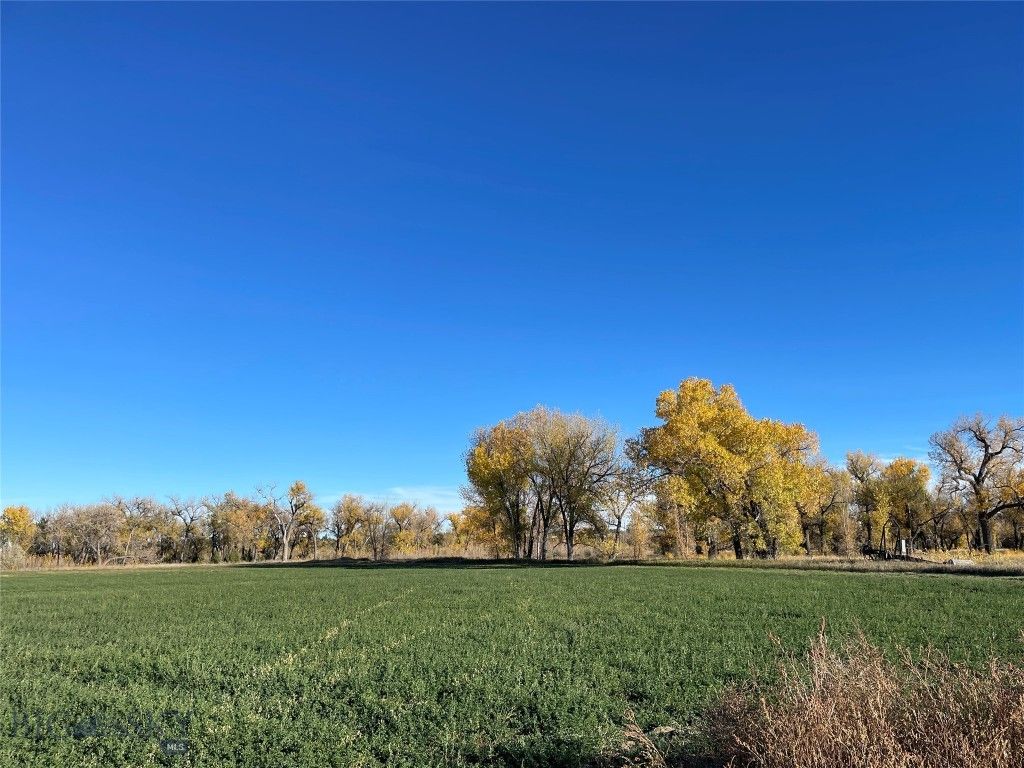 Address unavailable. photo 4