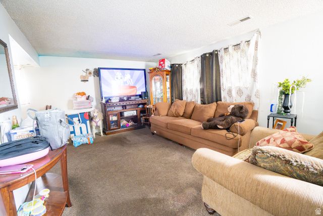 1347 S 400 E, Springville, UT 84663