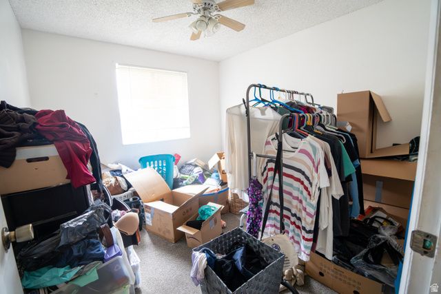 1347 S 400 E, Springville, UT 84663