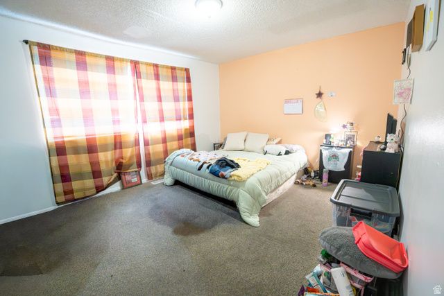 1347 S 400 E, Springville, UT 84663