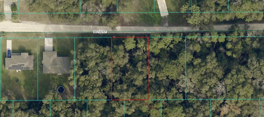 4219-255-028 SE 142 STREET, Belleview, FL 34420