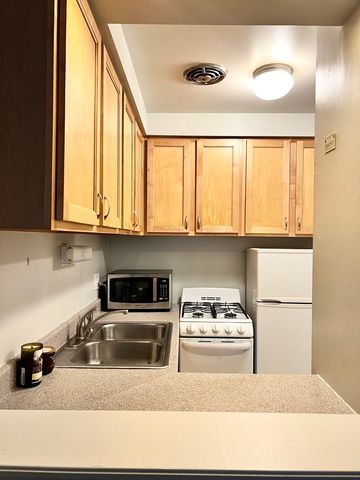 510 W Fullerton Parkway 302, Chicago, IL 60614