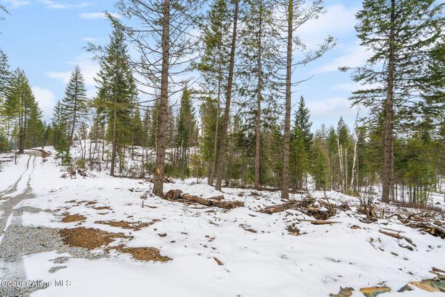 Lot 3 Settlers Lane, Cocolalla, ID 83813
