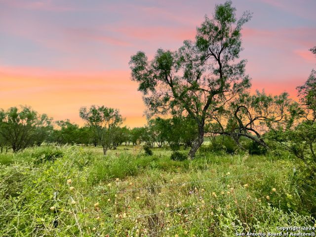 730 County Road 2530, Moore, TX 78057