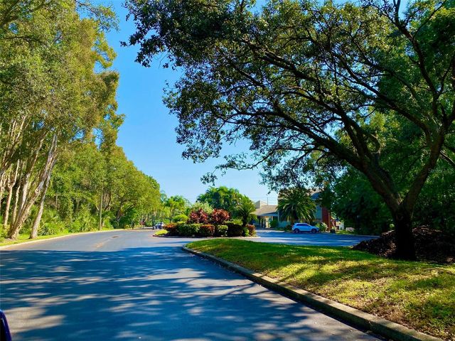 9100 DR MARTIN LUTHER KING JR STREET N 1505, St Petersburg, FL 33702