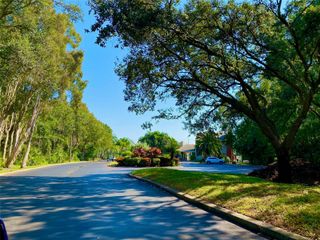 9100 DR MARTIN LUTHER KING JR STREET N 1505, St Petersburg, FL 33702