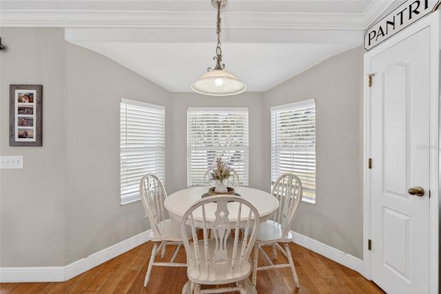 1730 CANOE DRIVE, Lutz, FL 33559