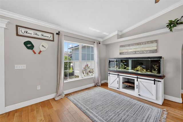 1730 CANOE DRIVE, Lutz, FL 33559